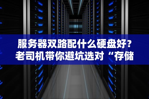 服务器双路配什么硬盘好？老司机带你避坑选对“存储心脏”！