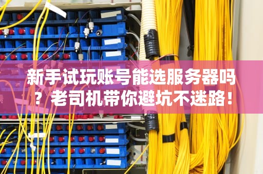 服务器IP与主机名IT侦探的破案指南