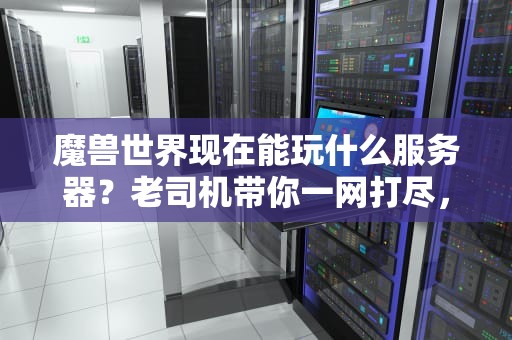 魔兽世界现在能玩什么服务器？老司机带你一网打尽，选服不纠结！
