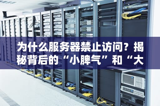 为什么服务器禁止访问？揭秘背后的“小脾气”和“大道理”