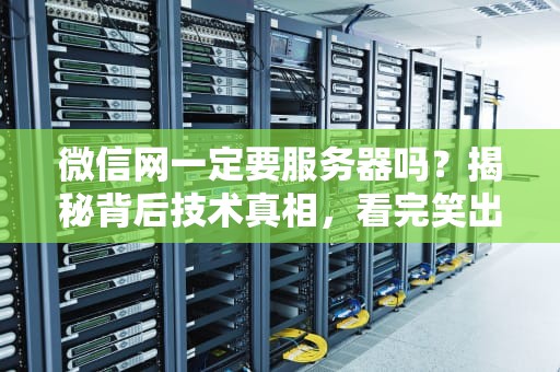 微信网一定要服务器吗？揭秘背后技术真相，看完笑出腹肌！