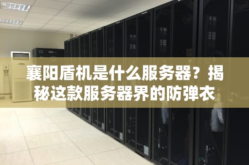 襄阳盾机是什么服务器？揭秘这款服务器界的防弹衣