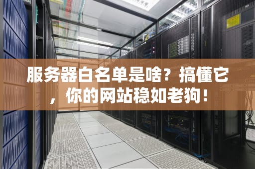 服务器白名单是啥？搞懂它，你的网站稳如老狗！
