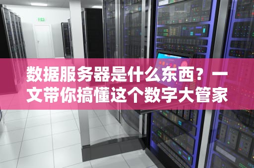 数据服务器是什么东西？一文带你搞懂这个数字大管家！