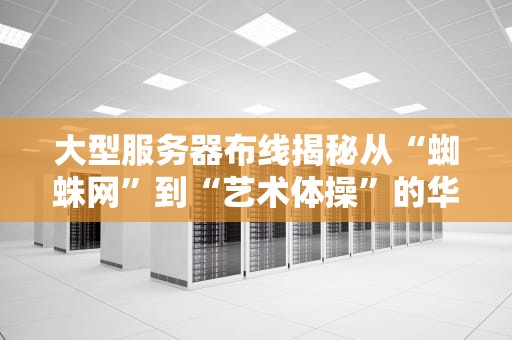 大型服务器布线揭秘从“蜘蛛网”到“艺术体操”的华丽转身