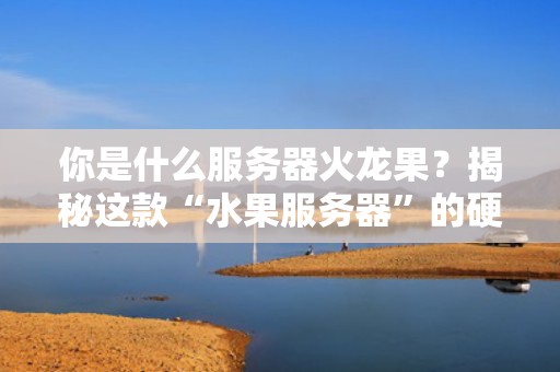 你是什么服务器火龙果？揭秘这款“水果服务器”的硬核实力！