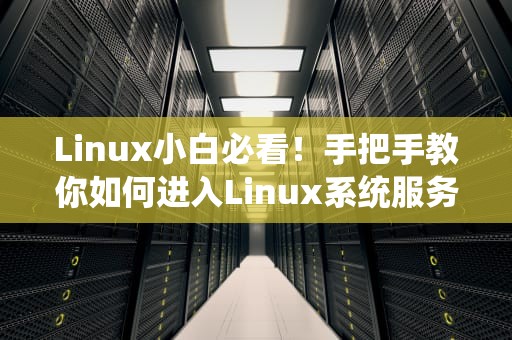 Linux小白必看！手把手教你如何进入Linux系统服务器（附超详细图解）