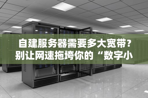自建服务器需要多大宽带？别让网速拖垮你的“数字小窝”！
