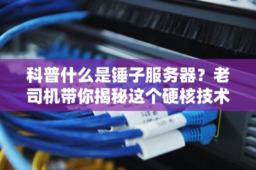 科普什么是锤子服务器？老司机带你揭秘这个硬核技术！