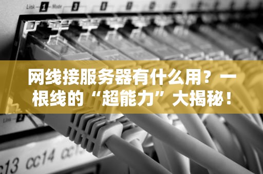 网线接服务器有什么用？一根线的“超能力”大揭秘！