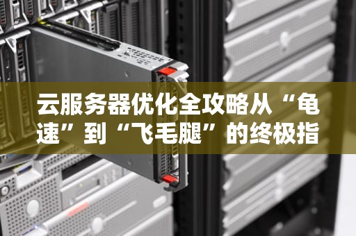 云服务器优化全攻略从“龟速”到“飞毛腿”的终极指南