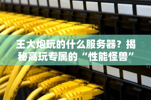 王大炮玩的什么服务器？揭秘高玩专属的“性能怪兽”与“白菜价神机”