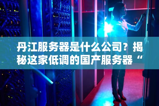 丹江服务器是什么公司？揭秘这家低调的国产服务器“扫地僧”