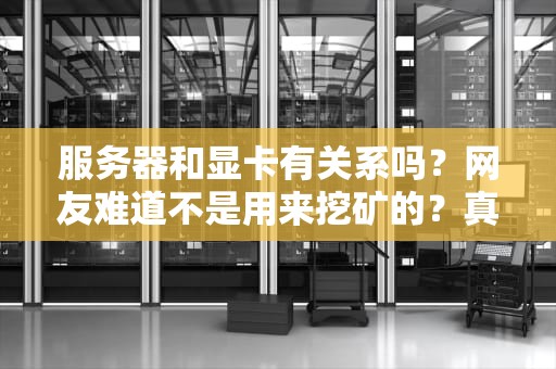 服务器和显卡有关系吗？网友难道不是用来挖矿的？真相笑死！