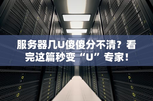 服务器几U傻傻分不清？看完这篇秒变“U”专家！