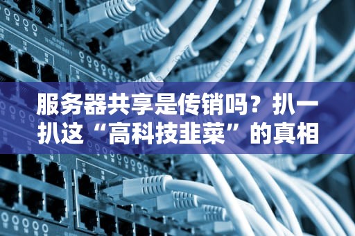 服务器共享是传销吗？扒一扒这“高科技韭菜”的真相！