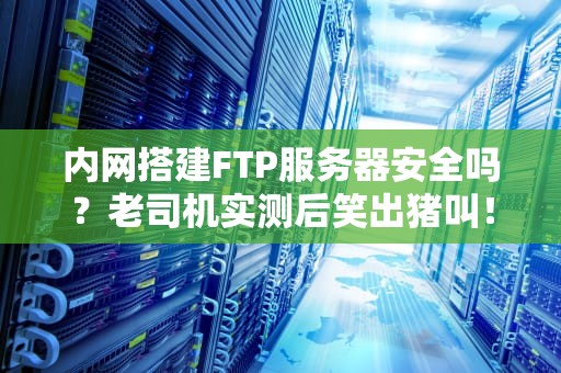 内网搭建FTP服务器安全吗？老司机实测后笑出猪叫！