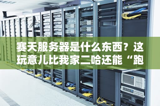 赛天服务器是什么东西？这玩意儿比我家二哈还能“跑”！