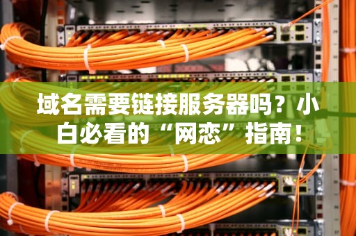 域名需要链接服务器吗？小白必看的“网恋”指南！