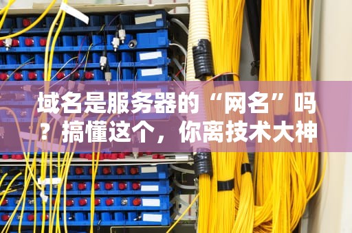 域名是服务器的“网名”吗？搞懂这个，你离技术大神又近了一步！