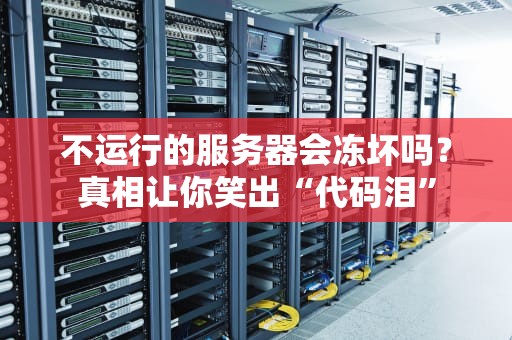不运行的服务器会冻坏吗？真相让你笑出“代码泪”