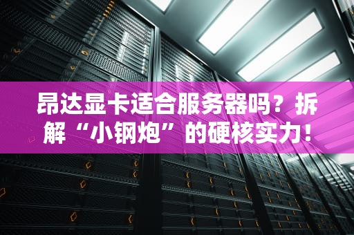 昂达显卡适合服务器吗？拆解“小钢炮”的硬核实力！