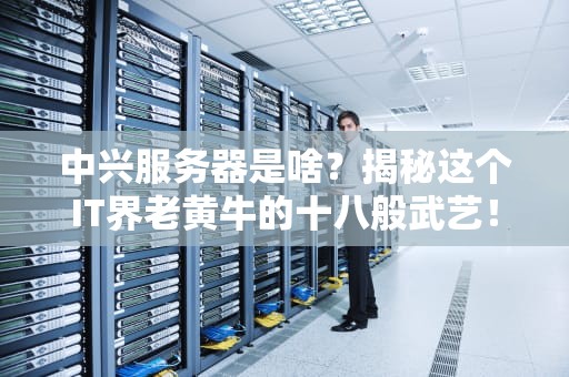 中兴服务器是啥？揭秘这个IT界老黄牛的十八般武艺！