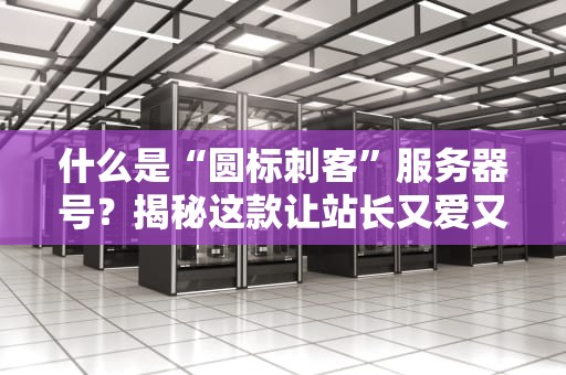 什么是“圆标刺客”服务器号？揭秘这款让站长又爱又恨的隐藏大佬！
