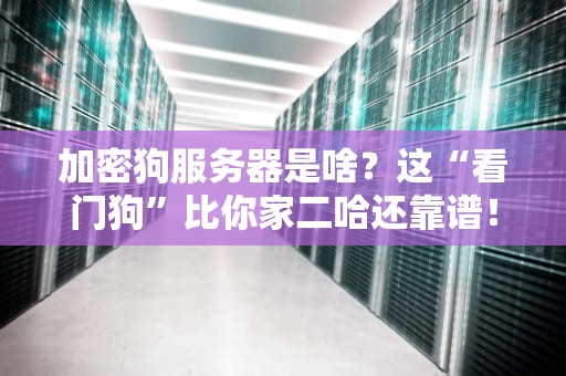 加密狗服务器是啥？这“看门狗”比你家二哈还靠谱！