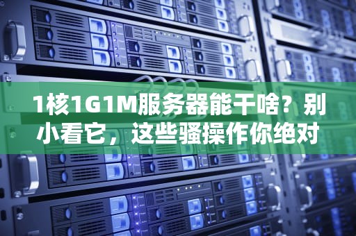 1核1G1M服务器能干啥？别小看它，这些骚操作你绝对想不到！