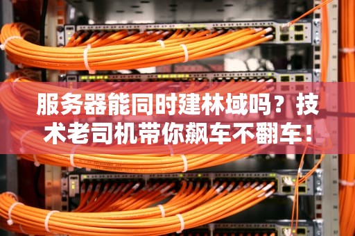 服务器能同时建林域吗？技术老司机带你飙车不翻车！