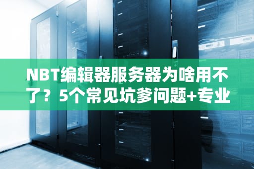 NBT编辑器服务器为啥用不了？5个常见坑爹问题+专业解决方案！