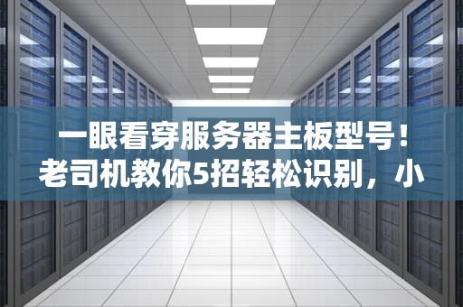 一眼看穿服务器主板型号！老司机教你5招轻松识别，小白也能秒懂