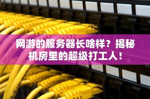 网游的服务器长啥样？揭秘机房里的超级打工人！
