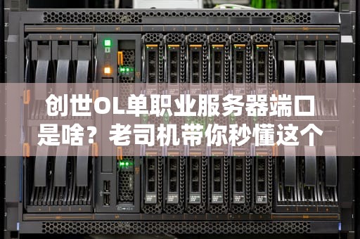 创世OL单职业服务器端口是啥？老司机带你秒懂这个“网络门牌号”！