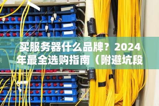 买服务器什么品牌？2024年最全选购指南（附避坑段子）