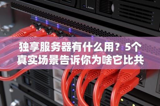 独享服务器有什么用？5个真实场景告诉你为啥它比共享主机更“香”！