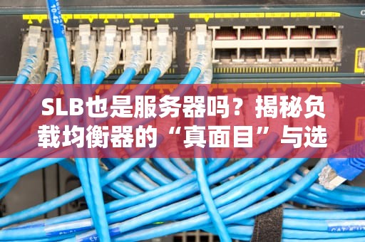 SLB也是服务器吗？揭秘负载均衡器的“真面目”与选购避坑指南