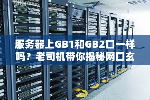 服务器上GB1和GB2口一样吗？老司机带你揭秘网口玄学！