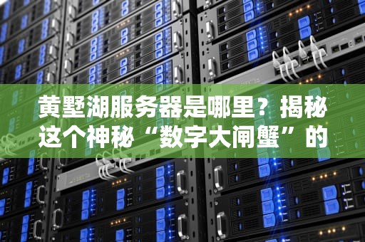黄墅湖服务器是哪里？揭秘这个神秘“数字大闸蟹”的老巢！