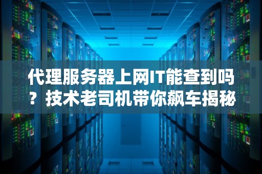代理服务器上网IT能查到吗？技术老司机带你飙车揭秘！