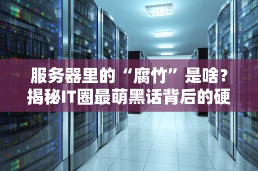 服务器里的“腐竹”是啥？揭秘IT圈最萌黑话背后的硬核知识！