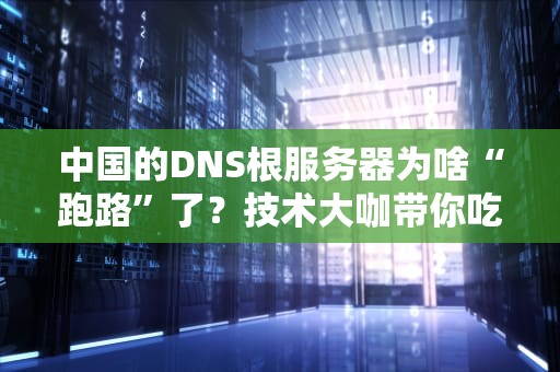 中国的DNS根服务器为啥“跑路”了？技术大咖带你吃瓜真相！
