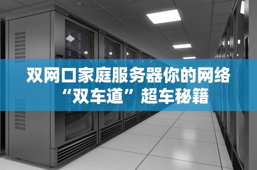 双网口家庭服务器你的网络“双车道”超车秘籍