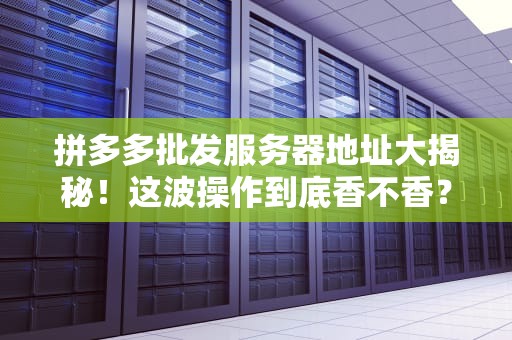 拼多多批发服务器地址大揭秘！这波操作到底香不香？