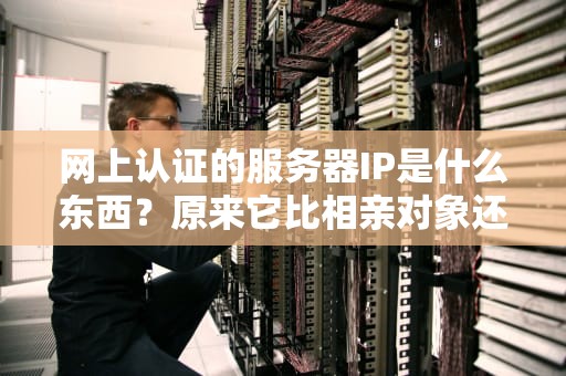 网上认证的服务器IP是什么东西？原来它比相亲对象还难搞懂！