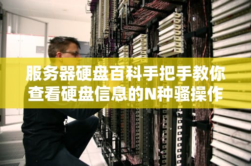 服务器硬盘百科手把手教你查看硬盘信息的N种骚操作！