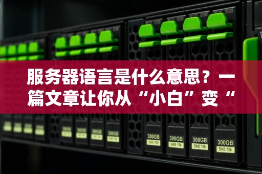 服务器语言是什么意思？一篇文章让你从“小白”变“大神”！（附实战案例）