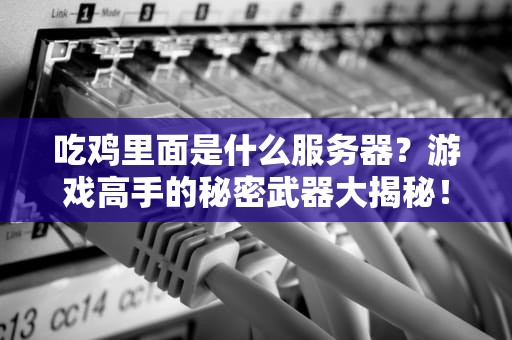 吃鸡里面是什么服务器？游戏高手的秘密武器大揭秘！