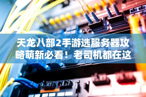 天龙八部2手游选服务器攻略萌新必看！老司机都在这几个区“飙车”